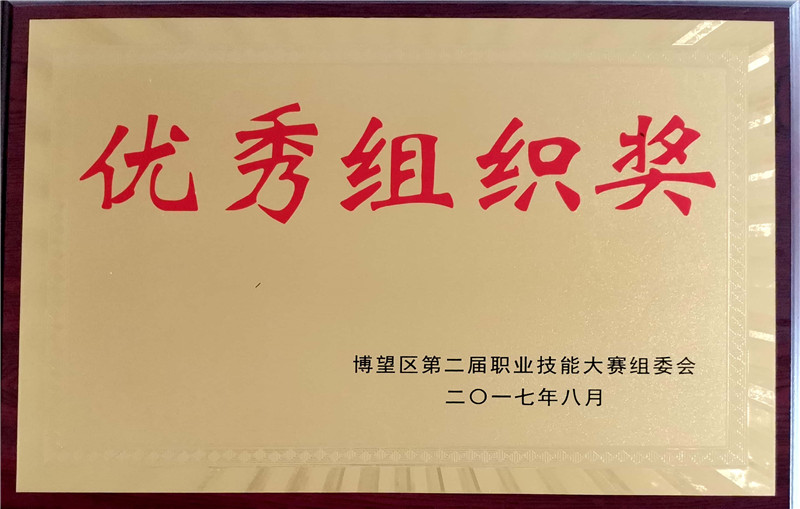 Excellent Organization Award